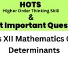 hots and important questions class 12 maths pdf